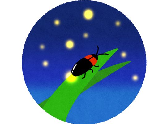 Firefly free illustration