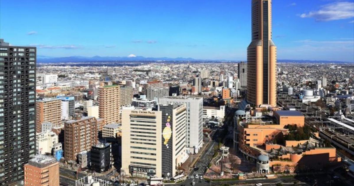 From Saitama City to Shizuoka for the Ideal Tree House | We introduce